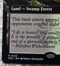 Turbulent Fen - 103 - MTG: Secrets of Strixhaven - Extended Art - Rare - Regular - Image 5