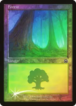 Mercadian Masques MTG FOIL Forest (#347) Magic - Image 1