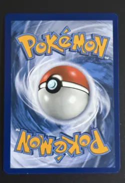 Pokemon TCG Eevee v SWSH065 Black Star Promo Card NM/M Condition - Image 2