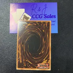 YUGIOH - Celtic Guardian - Starter Deck: Yugi Evolution - Near Mint - Image 2