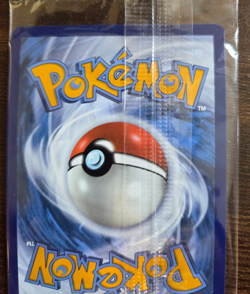 Charmander 044 Sv: Scarlet & Violet Promo Cards Holo SEALED - Image 4