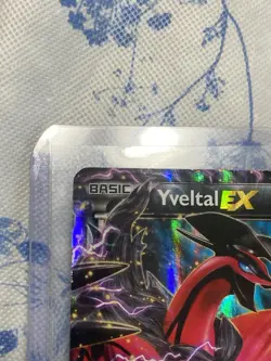 Pokemon TCG Yveltal EX - Promo XY Promos XY08 MP - SHIPS FREE SAME DAY FAST - Image 2