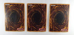 Starter Deck Pegasus COMPLETE with Anime Style Sleeves - SDP - Yu-Gi-Oh - Image 3
