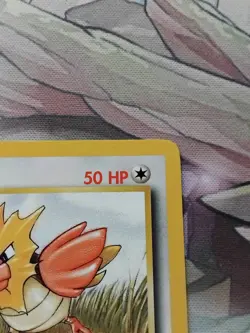 Pokemon TCG Spearow Jungle 62/64 Regular LP. - Image 3