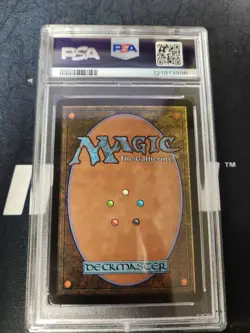 2025 MTG TARKIR: DRAGONSTORM SPECIAL GUESTS BORDLERESS-FOIL MARSH FLATS PSA 10 - Image 2