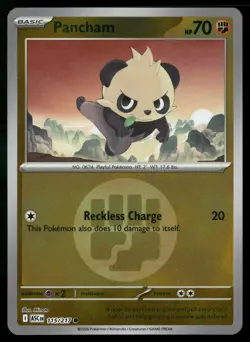 Pancham (Energy Symbol Pattern) 115/217 Holo Ascended Heroes Pokemon RH NM - Image 1