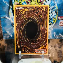 Yugioh AMAZONESS AUGUSTA MP23-EN223 ULTRA RARE NM 1ST EDITION - Image 2