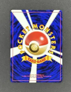 Pokemon Vintage Binder - Japanese Dark Blastoise 009 Holo & Blastoise 009 Holo - Image 3