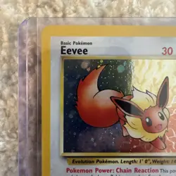 Pokemon Eevee Wizards Black Star Promo 11 Holo Near Mint - Image 2