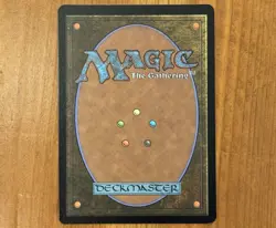 The Lion-Turtle, R 0328, NM Borderless Foil, MTG Avatar: The Last Airbender TLA - Image 3