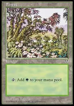 Forest D - Light Play MTG Mirage - Image 1