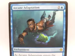 Arcane Adaptation Ixalan XLN Rare Enchantment MTG Near Mint - Image 2
