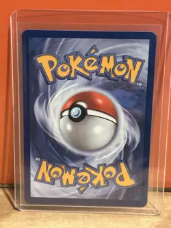 Turtwig 040 Holo Promo ME: Mega Evolution Promo Pokemon Near Mint - Image 2