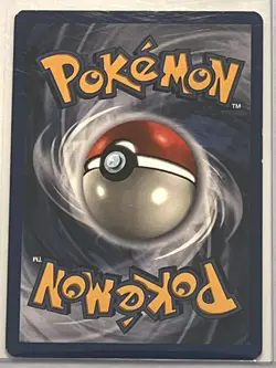 Pidgeotto 22/102 - Base Set - Non-Holo Rare - VINTAGE WOTC POKEMON CARD - Image 2