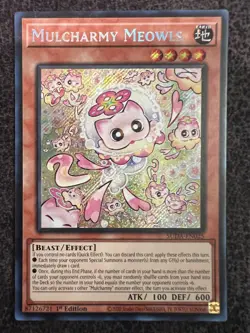 Yugioh Mulcharmy Meowls SUDA-EN025 Secret Rare 1st Edition NM - Image 1