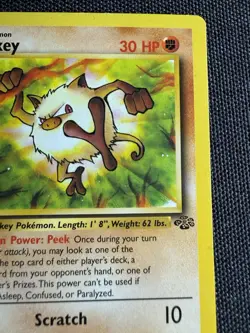 Mankey Jungle Common 1st Edition 55/64 Pokemon 1999 - Image 3