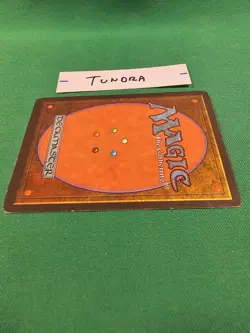 Magic the Gathering Revised Tundra - Image 4