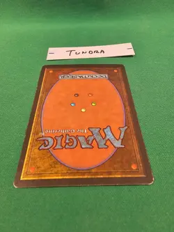 Magic the Gathering Revised Tundra - Image 5