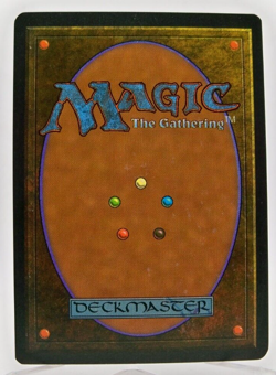 Magic the Gathering MTG - RUBINIA SOULSINGER Legends (ITALIAN) NM - Image 2