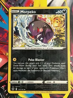 Reverse Holo Morpeko 116/195 Uncommon Silver Tempest Pokemon TCG NM - Image 1