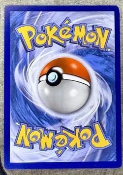 Pikachu, Squirtel, Charmander SWSH234/232/233 SWSH: Promo Cards Holo - Image 5