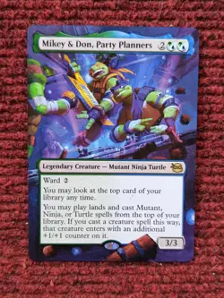 Mikey & Don Party Planners Teenage Mutant Ninja Turtles Hand Painted Altered Art - Image 2