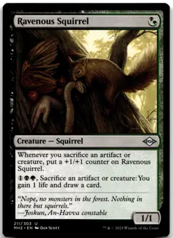 MTG Ravenous Squirrel U Modern Horizons 2 211 LP - Image 1