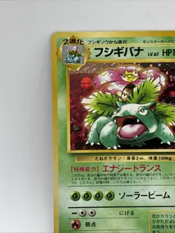 Venusaur CD Promo Japanese Pokemon Card Game TCG Holo Rare SWIRL No.003 LP - Image 4