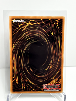 PSV-EN061 Burning Land Common 25th Anniversary Edition Mint YuGiOh Card - Image 2