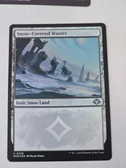 MTG - FOIL Snow-Covered Wastes - Modern Horizons 3 - Image 1
