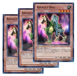 Yugioh - Assault Dog x 3 - Super Rare NM - Free Holographic Card - Image 1