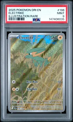 2025 POKEMON DRI EN-DESTINED RIVALS ILLUSTRATION RARE #196 ELECTRIKE PSA 9 - Image 1