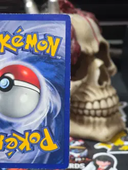 ☠☠ Pokemon Gyarados 006/102 Base Set (Shadowless) Holo - Image 3