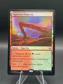 Sheltered Thicket MTG Magic the Gathering (248/347) Amonkhet NM FOIL Russian - Image 1