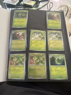 Pokemon Semi-complete Perfect Order Master Set - Image 1