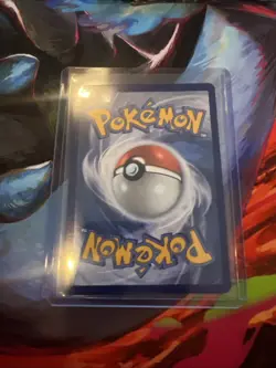 Popplio - 045 - Holo Promo - ME: Mega Evolution *NM* Near Mint - Pokemon TCG - Image 2