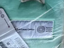 Pokemon Natural History Museum Pikachu at the Museum Promo Card, Plush & Ecology - Image 5