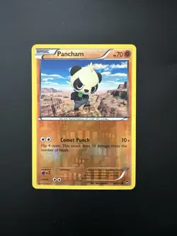 Pokemon - Pancham - 60/111 - Common - Reverse Holo - XY - Furious Fists - NM - Image 1