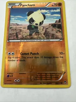 Pokemon - Pancham - 60/111 - Common - Reverse Holo - XY - Furious Fists - NM - Image 4