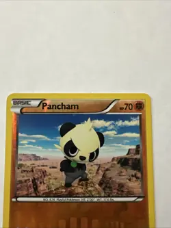 Pokemon - Pancham - 60/111 - Common - Reverse Holo - XY - Furious Fists - NM - Image 5