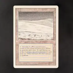MTG \>> Tundra (EX) <<// Revised - 341 Trading - Magic - Image 1