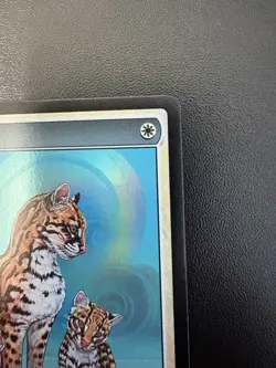 Ocelot Pride - MTG: Store Championship Textless Foil Authentication Included - Image 5