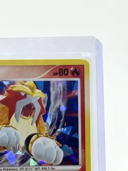 Entei Holo Rare - 4/132 Pokemon Secret Wonders Cracked Ice Deck Exclusive - Image 3
