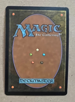 Foil - Sea Gate Loremaster - Zendikar - MTG - Magic the Gathering - Foil - Image 4