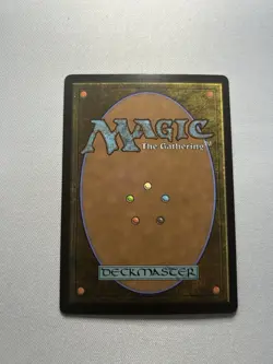 The Cabbage Merchant - Foil - NM - MTG: Avatar - Image 2