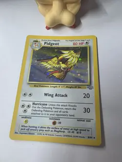 Pokemon TCG Jungle Pidgeot 8/64 Holo Rare 1999 WOTC Vintage LP - Image 5