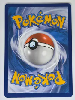 Raboot 147/142 Illustration Rare Pokemon Stellar Crown NM - Image 2