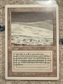 MTG Magic Revised - Set of 5 Dual Lands - Image 5
