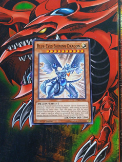 Blue-Eyes Shining Dragon - DPRP-EN026 - Common - 1st Edition Yugioh LP - Image 1