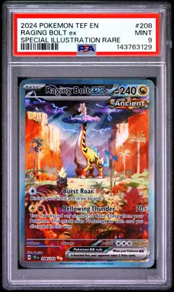 Raging Bolt EX 208/162 Special Illustration Rare Pokemon PSA 9 *129 - Image 1